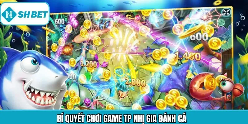 Kinh nghiệm hữu ích khi tham gia TP nhị gia đánh cá hiệu quả