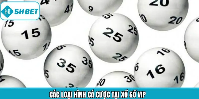 Tổng hợp các loại hình lô đề VIP được phổ biến nhất