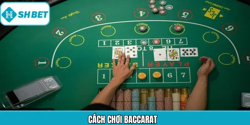 Cách Chơi Baccarat - Các Quy Luật Khi Tham Gia Tại Shbet