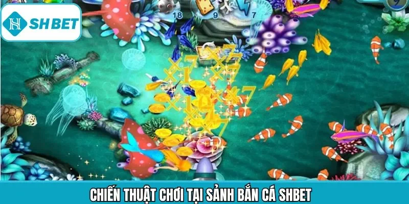 Kinh nghiệm giành thắng lớn khi tham gia bắn cá Shbet