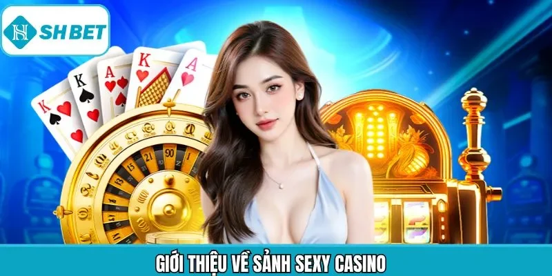 Giới thiệu đôi điều về thiên đường giải trí top 1
