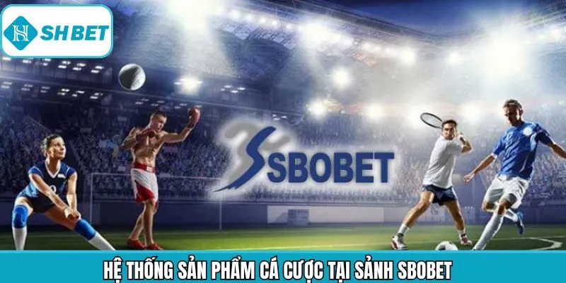 Hệ thống mang đến nhiều sản phẩm cược