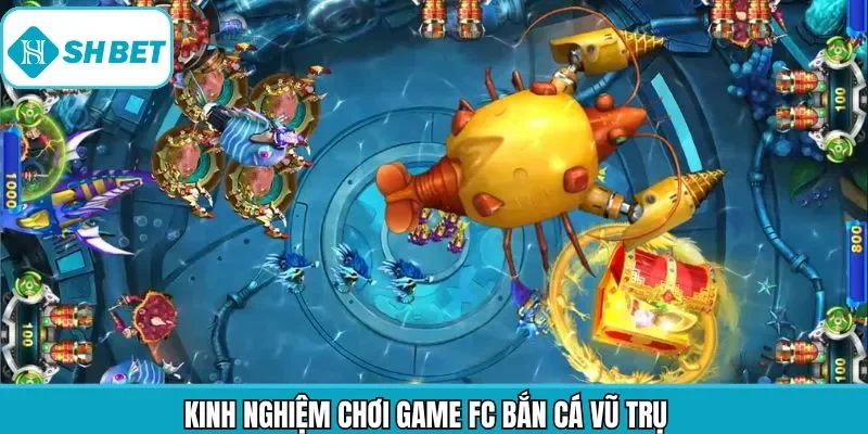 Bí quyết tham gia săn cá vũ trụ hiệu quả và chuẩn xác