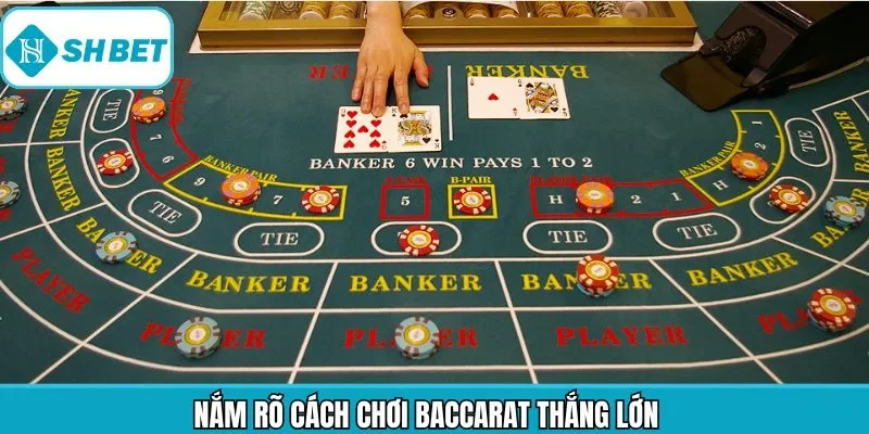 Chiến lược tham gia game bài từ cao thủ