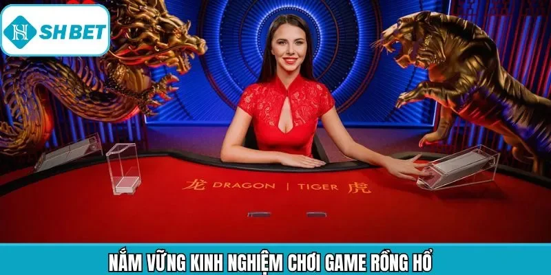 Một số chiến thuật cược hiệu quả cho newbie