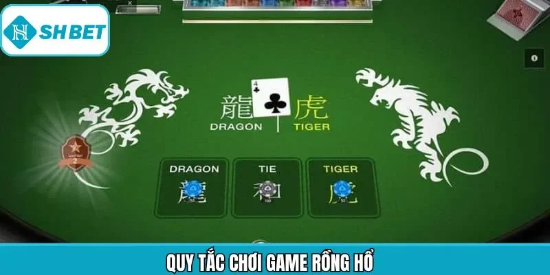 Luật tham gia Rồng hổ cơ bản