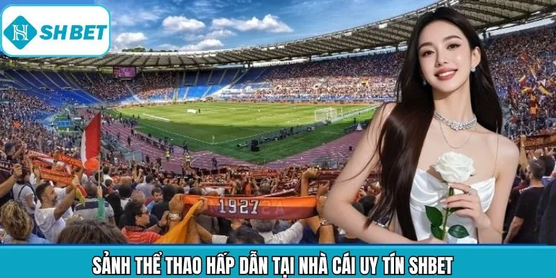 Khám phá Shbet cùng thế giới thể thao chất lượng