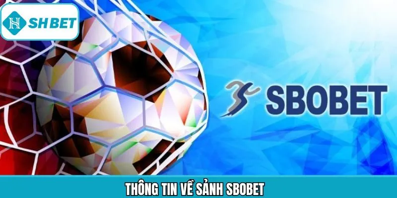 Sảnh cá cược thể thao uy tín top đầu