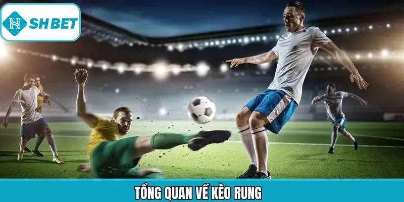 Tổng quan ngắn gọn về hình thúc cá cược