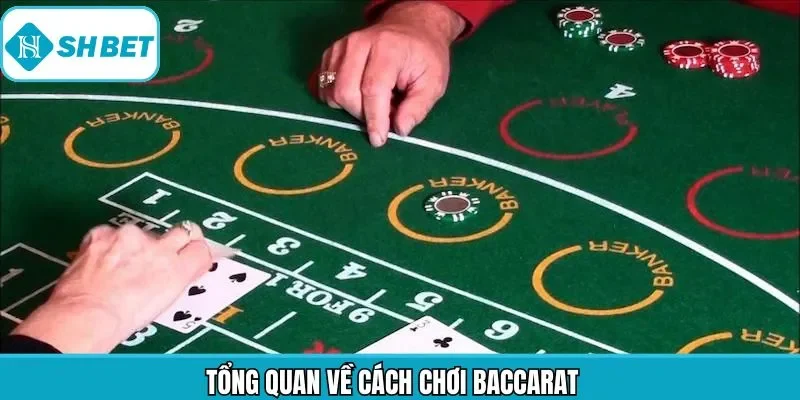Giới thiệu vài nét về cách chơi Baccarat